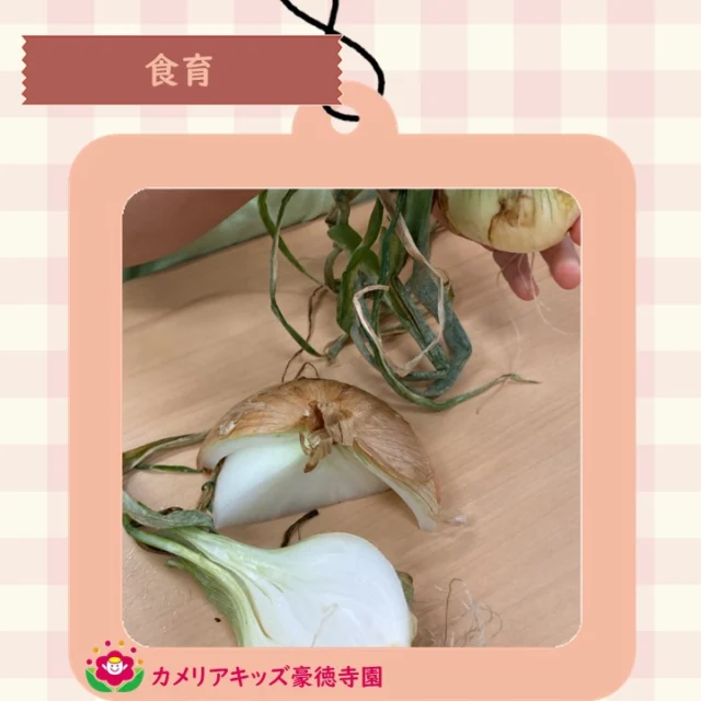 こんにちは😊カメリアキッズ豪徳寺園です✨ 食育の時間、たまねぎを観察しました🧅たまねぎには長い葉や根っこがついていました。茶色い皮をむいていくと、白いたまねぎが現れて、更にどんどんむいていくと、最後はバラバラになりました😯.☆☆☆☆☆☆☆☆☆☆☆☆☆他SNSも要チェック♪ Instagram：itg_camellia_kidsWebsite🔎カメリアキッズ youtube🔎カメリアキッズほいくえ🔎カメリアキッズ園児・保育士さん・調理さん☆募集中☆☆☆☆☆☆☆☆☆☆☆☆☆カメリアキッズ豪徳寺園〒154-0021東京都世田谷区豪徳寺1-21-5ヴィラ・ゴートク1F-D03-5799-7790 ☆☆☆☆☆☆☆☆☆☆☆☆☆#カメリアキッズ#東京都#世田谷区保育園#認可外保育園#保活