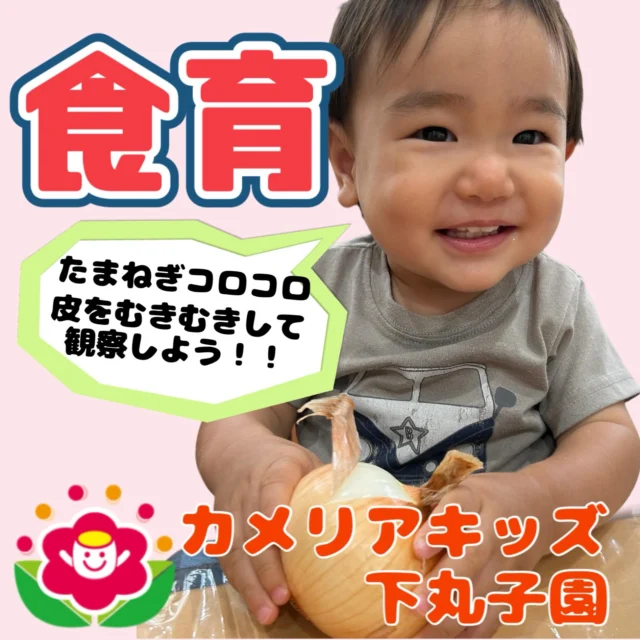 �こんにちは😊カメリアキッズ下丸子園です🌺先日、食育を行いましたよ🧅みんな小さな玉ねぎや、大きな玉ねぎを目をキラキラさせながら見ていましたよ😊調理の先生が、玉ねぎをパカッと割ると玉ねぎの断面がこんにちは😊その後は、みんなで玉ねぎの皮をむいて観察しましたよ🧅♪.:*:'゜☆.:*:'゜♪.:*:'゜☆.:*:・'゜♪.:*:・'゜☆.:*:・'゜♪.:*:随時説明会開催中です！ご連絡お待ちしております！他SNSも要チェック♪HP：カメリアキッズyoutube：🔎カメリアキッズほいくえ：🔎カメリアキッズTikTok：🔎@camellia_kids_hoikuen☆☆☆☆☆☆☆☆☆☆☆☆カメリアキッズ下丸子園〒146-0092住所：東京都大田区下丸子3-13-19ラ・カーサプリマベーラ1Ｆ☎️電話番号：03-6459-8787園児・保育士さん・調理さん◎◎◎募集中◎◎◎☆☆☆☆☆☆☆☆☆☆☆☆#カメリアキッズ#東京都保育園#大田区保育園#下丸子保育園#認可外保育園保活