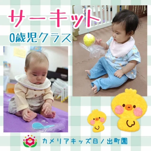 こんにちは♪カメリアキッズ日ノ出町園です🐌毎月のサーキットでは、0歳児クラスさんはゆったり楽しんでいます🎶この日はセンサリーマットやトンネルに挑戦したり、揺れるボールに手を伸ばしてみたりして、手足や体全体を動かす良い時間となりました💮.*｡ﾟ♬*゜ﾟ.*･｡ﾟ♬*゜ﾟ.*･｡ﾟ♬*.*･｡ﾟ♬*随時説明会開催中です✨️ご連絡お待ちしております🌈他SNSも要チェック♪Instagram：@itg_camellia_kidsTwitter：camellia_kidsyoutube：🔎カメリアキッズほいくえ：🔎カメリアキッズTikTok:🔎@camellia_kids_hoikuen⁡⁡☆☆☆☆☆☆☆☆☆☆☆☆🚩カメリアキッズ 日ノ出町園🚩〒231-0066神奈川県横浜市中区日ノ出町1-200日ノ出サクアス201☎️045-334-8529園児・保育士さん・調理さん**◎◎◎募集中**◎◎◎*⁡#カメリアキッズ#神奈川県#中区保育園#認可外保育園#保活