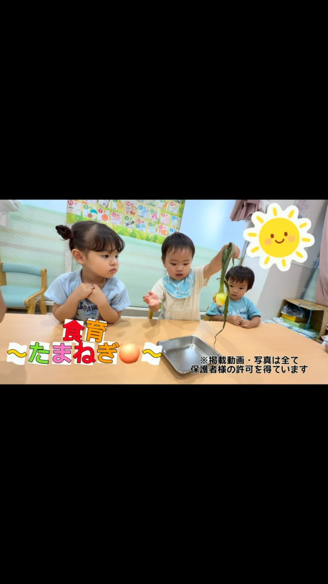 こんにちは☀️カメリアキッズ北千住園です！今回の食育のテーマは玉ねぎ🧅玉ねぎの長い葉や、茎、根っこを観察し、匂いを嗅いだり皮を剥いたりしました☺️子ども達も興味津々で楽しみました⭐️⭐︎⭐︎⭐︎⭐︎⭐︎⭐︎⭐︎⭐︎⭐︎⭐︎⭐︎⭐︎⭐︎⭐︎⭐︎⭐︎随時説明会開催中です!ご連絡お待ちしております!他SNSも要チェック♪HP:🔍カメリアキッズyoutube :🔍カメリアキッズほいくえん🔍:カメリアキッズTikTok :🔍@camellia_kids_hoikuen- [ ] ⭐︎⭐︎⭐︎⭐︎⭐︎⭐︎⭐︎⭐︎⭐︎⭐︎⭐︎⭐︎⭐︎⭐︎⭐︎⭐︎カメリアキッズ北千住園〒120-0034住所東京都足立区千住 4-10-3サカイグリーンパーク北千住第7-101号電話番号03-6806-1469⭐︎⭐︎⭐︎⭐︎⭐︎⭐︎⭐︎⭐︎⭐︎⭐︎⭐︎⭐︎⭐︎⭐︎⭐︎⭐︎園児・保育士さん・調理さん〇〇〇募集中〇〇〇#東京都#足立区保育園#認可外保育園#保活