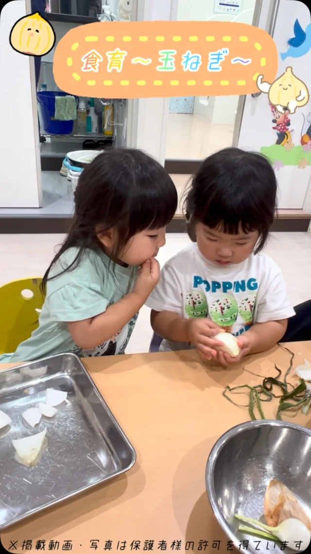 今月の食育は玉ねぎの観察でした🧅皮をむいてみたり、匂いを嗅いでみたりしましたよ✨#ママライフ #ママリ #保育園#子育てママ#保育士おもちゃママスタグラム2歳児働くママ幼児食1歳児0歳児保育北区保育士の卵企業主導型保育園保育学生小規模保育園園児募集保育士試験保育士募集認可外保育園保育学生田端保育園探し保育士求人カメリアキッズ東京都保育園北区保育園田端保育園随時説明会開催中です！ご連絡お待ちしております！他SNSも要チェック♪HP：カメリアキッズyoutube：🔎カメリアキッズほいくえ：🔎カメリアキッズTikTok：🔎@camellia_kids_hoikuen☆☆☆☆☆☆☆☆☆☆☆☆カメリアキッズ田端園〒114-0012住所:東京都北区田端新町3-36-10ﾄﾐﾔﾊｲﾑ1F☎️電話番号:03-6240-8755園児・保育士さん・調理さん◎◎◎募集中◎◎◎☆☆☆☆☆☆☆☆☆☆☆☆