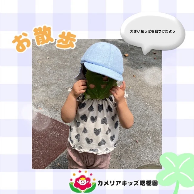 こんにちは☺️カメリアキッズ曙橋園です。お散歩に行きました！普段あまり見ることのない大きな葉っぱを見かけると大興奮の子供たち。顔より大きい葉っぱです✨🌱🌈随時説明会開催中です！ご連絡お待ちしております！他SNSも要チェック♪HP：カメリアキッズyoutube：🔎カメリアキッズほいくえ：🔎カメリアキッズTikTok：🔎@camellia_kids_hoikuen☆☆☆☆☆☆☆☆☆☆☆☆カメリアキッズ曙橋園〒162-0065住所：東京都新宿区住吉町3-16グランハイツ1階☎️03-6380-4067#カメリアキッズ#東京都#新宿区保育園#認可外保育園#保活