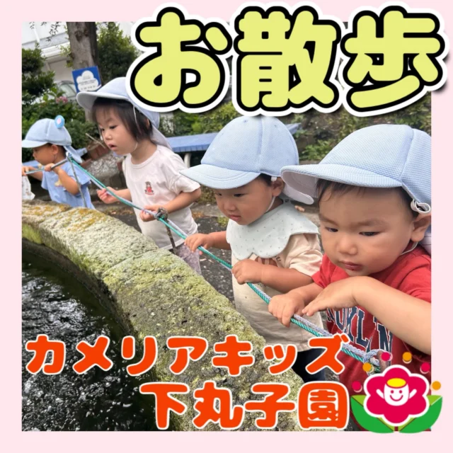 �こんにちは😊カメリアキッズ下丸子園です🌺お天気が良い日にお散歩へ行きましたよ！広い広場で、子ども達も大喜びでした😊お外に出ると子ども達はたくさん身体を動かし虫を見つけたりと楽しんでいますよ😊♪.:*:'゜☆.:*:'゜♪.:*:'゜☆.:*:・'゜♪.:*:・'゜☆.:*:・'゜♪.:*:随時説明会開催中です！ご連絡お待ちしております！他SNSも要チェック♪HP：カメリアキッズyoutube：🔎カメリアキッズほいくえ：🔎カメリアキッズTikTok：🔎@camellia_kids_hoikuen☆☆☆☆☆☆☆☆☆☆☆☆カメリアキッズ下丸子園〒146-0092住所：東京都大田区下丸子3-13-19ラ・カーサプリマベーラ1Ｆ☎️電話番号：03-6459-8787園児・保育士さん・調理さん◎◎◎募集中◎◎◎☆☆☆☆☆☆☆☆☆☆☆☆#カメリアキッズ#東京都保育園#大田区保育園#下丸子保育園#認可外保育園保活