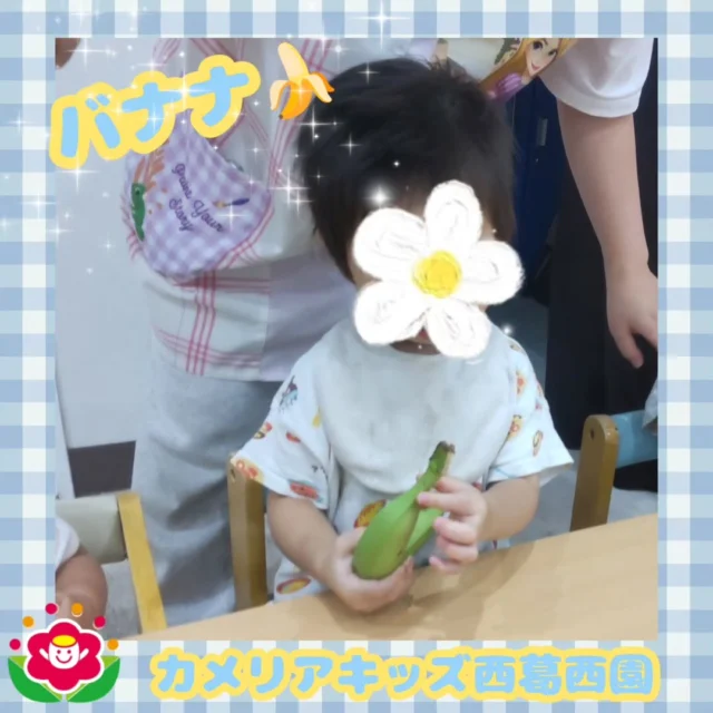 こんにちは🌈カメリアキッズ西葛西園✨★食育★🍌🍌🍌バナナ🍌🍌🍌普段見ることのない緑色のバナナを不思議そうに見つめてニオイを嗅いでいました✨️🌼🌼🌼🌼🌼🌼🌼🌼🌼🌼随時説明会開催中です！ご連絡お待ちしております！他SNSも要チェック♪HP：カメリアキッズyoutube：🔎カメリアキッズほいくえ：🔎カメリアキッズTikTok：🔎@camellia_kids_hoikuen☆☆☆☆☆☆☆☆☆☆☆☆カメリアキッズ西葛西園〒134-0088住所:東京都江戸川区西葛西6-8-4 ニュースカイビル1F☎️電話番号:03-5878-1877園児・保育士さん・調理さん◎◎◎募集中◎◎◎☆☆☆☆☆☆☆☆☆☆☆☆#カメリアキッズ#東京都#江戸川区保育園#認可外保育園#保活