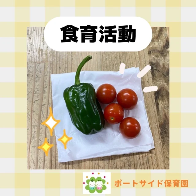 こんにちは！たいせつ横浜ポートサイド保育園です🚢いるかさんたちが植えたお野菜がこんなに立派に育ちました🫑🍅ツヤツヤでとっても綺麗に出来ました♡💭🤍.•*¨*•.*♬ 💭🤍.•*¨*•.*♬💭 🤍.•*¨*•.*♬説明会開催中です✨ご連絡お待ちしております🌈⁡🍀✨🍀✨🍀✨🍀✨🍀✨🍀✨🍀✨たいせつ横浜ポートサイド保育園📮221－0052🏠神奈川県横浜市神奈川区栄町6－1ヨコハマポートサイドロア弐番館1F☎️ 045-461-0707🍀✨🍀✨🍀✨🍀✨🍀✨🍀✨🍀✨#ママライフ#ママリ#保育園#子育てママ#保育士