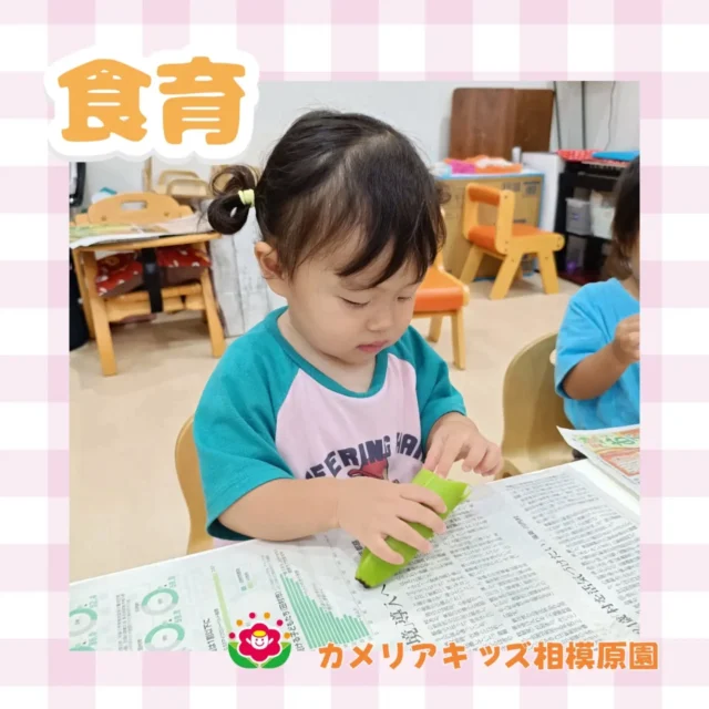 こんにちは😊カメリアキッズ相模原園です。バナナを使った食育をしました🍌随時説明会開催中！ご連絡お待ちしております！他SNSも要チェック♪HP：カメリアキッズyouTube：🔎カメリアキッズほいくえ：🔎カメリアキッズTikTok：🔎 @camellia_kids_hoikuen☆☆☆☆☆☆☆☆☆☆☆☆カメリアキッズ相模原園〒252－0231神奈川県相模原市中央区相模原3－1－13　グランシャリオ相模原２階☎042－707－7130園児・保育士さん・調理さん◎◎◎募集中◎◎◎☆☆☆☆☆☆☆☆☆☆☆☆#カメリアキッズ #神奈川#相模原市保育園 #認可外保育園　#保活