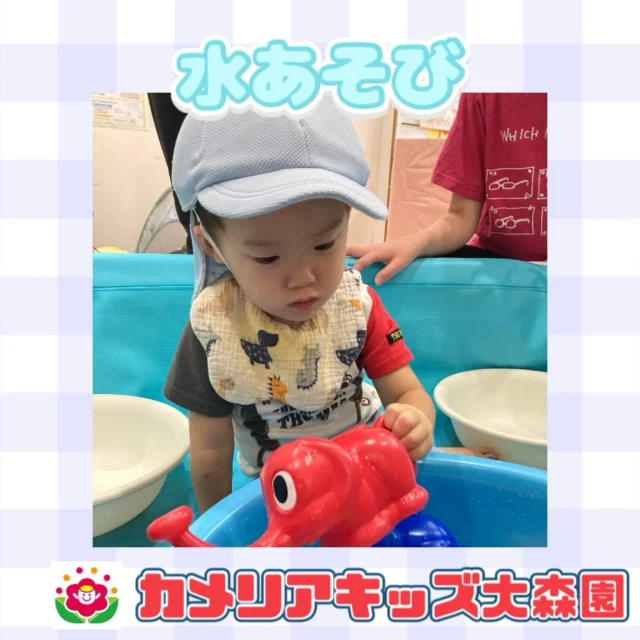 こんにちは☺️カメリアキッズ大森園です✨暑い日が続いていますね💦今回は、水あそびの様子をご紹介します！☺️ジョウロで水をジャーとしたり、パシャパシャしたりと楽しく遊んでいます！暑くて中々外に行けない日が続いていますが、そんな暑い中での水あそびはとても気持ちよさそうです！😌⁡⟡.·*.··············································⟡.·*.随時説明会開催中です!!ご連絡お待ちしおります!他のSNSも要チェック♪HP︰カメリアキッズYouTube︰🔎カメリアキッズほいくえ︰🔎カメリアキッズTikTok︰@camellia_kids_hoikuen📛カメリアキッズ大森園〶143-0023東京都大田区山王3-35-10　長崎医院1階☏03-6451-8357園児・保育士・調理さん◎◎◎募集中◎◎◎#カメリアキッズ#東京都#大田区保育園#認可外保育園　#保活