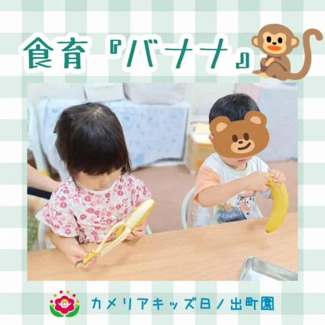 こんにちは♪カメリアキッズ日ノ出町園です🫧７月の食育は『バナナ』です🍌緑色と黄色のバナナを見比べたり、匂いを嗅いだりしました👀2歳児クラスさんは皮むきにも挑戦✨️「わたしも！」「ぼくも触りたいよー」とみんな興味津々でした😆.*｡ﾟ♬*゜ﾟ.*･｡ﾟ♬*゜ﾟ.*･｡ﾟ♬*.*･｡ﾟ♬*随時説明会開催中です✨️ご連絡お待ちしております🌈他SNSも要チェック♪Instagram：@itg_camellia_kidsTwitter：camellia_kidsyoutube：🔎カメリアキッズほいくえ：🔎カメリアキッズTikTok:🔎@camellia_kids_hoikuen⁡⁡☆☆☆☆☆☆☆☆☆☆☆☆🚩カメリアキッズ 日ノ出町園🚩〒231-0066神奈川県横浜市中区日ノ出町1-200日ノ出サクアス201☎️045-334-8529園児・保育士さん・調理さん**◎◎◎募集中**◎◎◎*⁡#カメリアキッズ#神奈川県#中区保育園#認可外保育園#保活