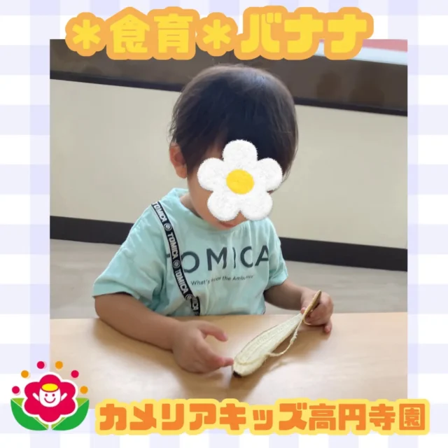 こんにちは！カメリアキッズ高円寺園です☺今日は食育活動でバナナを観察しました!皮をむいて中の白い部分に触ったり、匂いをかいだり...まだ熟れていない緑色のかたいバナナにも触りましたよ☺️☆☆☆☆☆☆☆☆☆☆☆☆カメリアキッズ高円寺園〒166-0003住所 東京都杉並区高円寺南3-62-6高円寺ゲーテビル1階☎️電話番号03-6454-6064園児・保育士さん◎◎◎募集中◎◎◎☆☆☆☆☆☆☆☆☆☆☆☆☆#カメリアキッズ#東京都#杉並区保育園#認可外保育園#保活