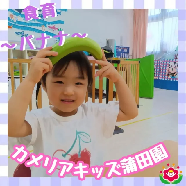 こんにちは!カメリアキッズ蒲田園です✨️本日は、先日行った食育「バナナ」の様子をおみせします♪🍌お店でもみる黄色いバナナだけでなく、緑色のバナナにも触れてみました♪硬く皮も向きにくい緑色のバナナ、柔らかく匂いもする黄色バナナ🍌熟して緑色から黄色になるまでじっくり観察しました✨随時説明会開催中ですご連絡お待ちしております!他のSNSも要チェック☑️HP：🔍️カメリアキッズYouTube：🔍️カメリアキッズほいくえ：🔍️カメリアキッズTikTok：🔍️@ camellia_kids_hoikuen。°✧·*︵︵︵︵︵︵︵︵︵︵︵︵︵︵︵︵*·✧°。カメリアキッズ蒲田園〒144-0051東京都大田区西蒲田7-50-5　クレメンシア1F📞03-6811-4040園児・保育士・調理さん◎◎◎募集中◎◎◎。°✧·*︶︶︶︶︶︶︶︶︶︶︶︶︶︶︶︶*·✧°。#カメリアキッズ #東京都 #大田区保育園 #認可外保育園 #保活