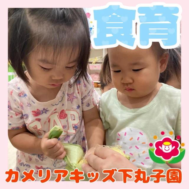 こんにちは😊カメリアキッズ下丸子園です🌺とうもろこしが大きくなってきましたので間引きを行いましたよ🌽間引きを行わないと、同じ土の中の養分や水分を複数の株で奪い合うことになり、株全体が細く、弱々しく育ってしまいます。調理の先生から、お話がありみんな真剣に聞いていましたよ😊これからもっともっと大きくなるようにみんなでお水をあげていきたいと思います🌽♪.:*:'゜☆.:*:'゜♪.:*:'゜☆.:*:・'゜♪.:*:・'゜☆.:*:・'゜♪.:*:随時説明会開催中です！ご連絡お待ちしております！他SNSも要チェック♪HP：カメリアキッズyoutube：🔎カメリアキッズほいくえ：🔎カメリアキッズTikTok：🔎@camellia_kids_hoikuen☆☆☆☆☆☆☆☆☆☆☆☆カメリアキッズ下丸子園〒146-0092住所：東京都大田区下丸子3-13-19ラ・カーサプリマベーラ1Ｆ☎️電話番号：03-6459-8787園児・保育士さん・調理さん◎◎◎募集中◎◎◎☆☆☆☆☆☆☆☆☆☆☆☆#カメリアキッズ#東京都保育園#大田区保育園#下丸子保育園#認可外保育園保活