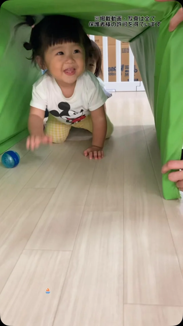 こんにちは😌カメリアキッズ南太田園です👶🏻サーキット活動を行いました😆0歳児さんでもたくさん運動しますよー🫶。・:*:・゜★,。・:*:・゜☆。・:*:・゜★,。・:*:・゜☆⁡  随時説明会開催中です✨ ご連絡お待ちしております🌈 ⁡ 他SNSも要チェック♪ HP：カメリアキッズ youtube：🔎カメリアキッズ ほいくえ：🔎カメリアキッズ TikTok：🔎@camellia_kids_hoikuen ⁡ ☆☆☆☆☆☆☆☆☆☆☆☆  🚩カメリアキッズ 南太田園🚩 〒232-0006 神奈川県横浜市南区南太田１丁目34-7 ☎️045-334-7497  園児・保育士さん・調理さん **◎◎◎募集中**◎◎◎* ⁡ #神奈川県#横浜市保育園#認可外保育園#保活