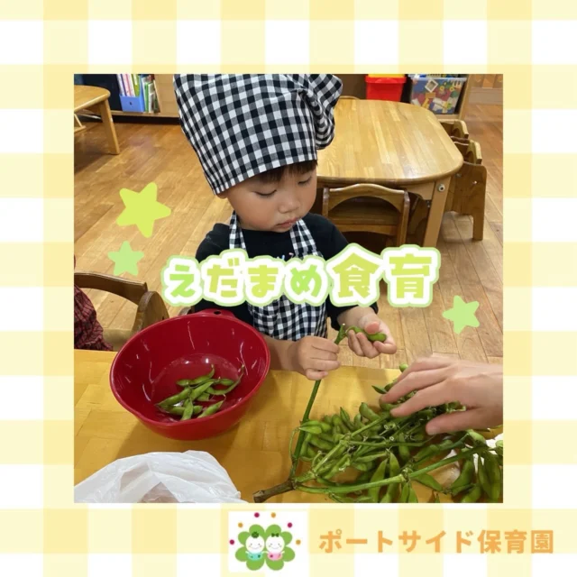 こんにちは！たいせつ横浜ポートサイド保育園です🚢枝豆で食育活動🍴みんな上手に出来ました🫛💭🤍.•*¨*•.*♬ 💭🤍.•*¨*•.*♬💭 🤍.•*¨*•.*♬説明会開催中です✨ご連絡お待ちしております🌈⁡🍀✨🍀✨🍀✨🍀✨🍀✨🍀✨🍀✨たいせつ横浜ポートサイド保育園📮221－0052🏠神奈川県横浜市神奈川区栄町6－1ヨコハマポートサイドロア弐番館1F☎️ 045-461-0707🍀✨🍀✨🍀✨🍀✨🍀✨🍀✨🍀✨#ママライフ#ママリ#保育園#子育てママ#保育士