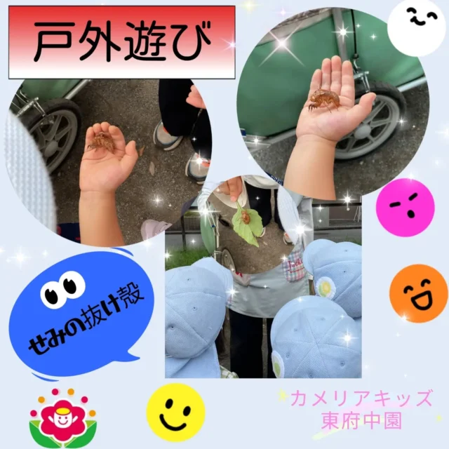 こんにちは☀カメリアキッズ東府中園です。本日は、久しぶりに戸外遊びに行くことができた日に、夏☀ならではの出来事があったのでその様子をお送り致します。大きな木に「ミーンミンミーン」と鳴き声を発見💡鳴き声の正体は蝉です！！そして木の近くには抜け殻がたくさん。保育者が葉っぱ🌿にのせた抜け殻を自分たちの手にも乗せ不思議な感覚を楽しんでいましたよ。よーく見ると足や手になるものもあり、じっくり観察していた子どもたち。自然と触れ合える貴重な経験を送ることができました🌻８月に入りまだまだ暑さも続く夏本番🍉日々の園生活でもひとり１人が楽しく元気に過ごしていけるようにつとめてまいります💡ご一読頂きありがとうございました☆随時説明会開催中です!ご連絡お待ちしております！他SNSも要チェック♪HP:カメリアキッズyoutube:🔎カメリアキッズほいくえ:🔎カメリアキッズTikTok:@camellia_kis_hoikuen☆☆☆☆☆☆☆☆☆☆☆☆☆☆カメリアキッズ東府中園〒183-0005住所　東京都府中市若松町1-7-6サングレース東府中1F☎電話番号042-319-8322園児・保育士さん・調理さん◎◎◎募集中◎◎◎☆☆☆☆☆☆☆☆☆☆☆☆☆☆☆#カメリアキッズ#東京都#府中市保育園#認可外保育園#保活