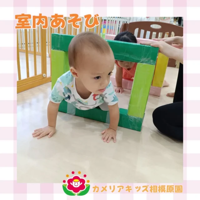 こんにちは😊カメリアキッズ相模原園です。今日はサーキットをして過ごしました！マットやトンネルを使ってたくさん身体を動かしました😊随時説明会開催中！ご連絡お待ちしております！他SNSも要チェック♪HP：カメリアキッズyouTube：🔎カメリアキッズほいくえ：🔎カメリアキッズTikTok：🔎 @camellia_kids_hoikuen☆☆☆☆☆☆☆☆☆☆☆☆カメリアキッズ相模原園〒252－0231神奈川県相模原市中央区相模原3－1－13　グランシャリオ相模原２階☎042－707－7130園児・保育士さん・調理さん◎◎◎募集中◎◎◎☆☆☆☆☆☆☆☆☆☆☆☆#カメリアキッズ #神奈川#相模原市保育園 #認可外保育園　#保活