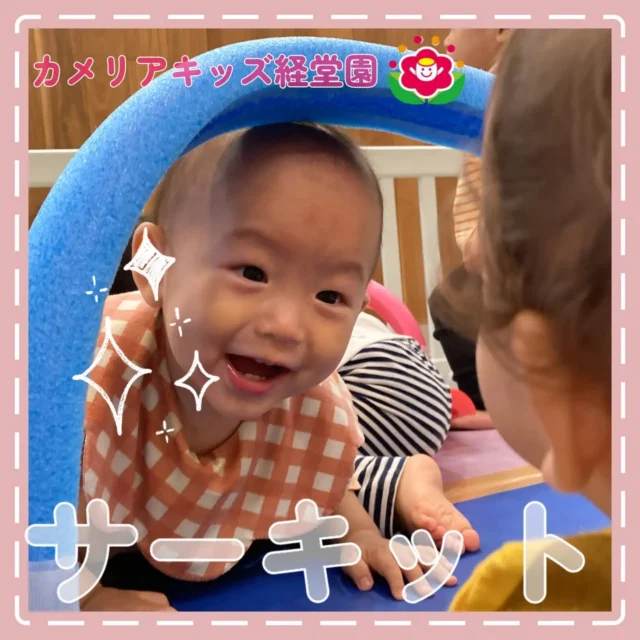 こんにちは😊カメリアキッズ経堂園です✨今月のサーキットでは足を上げてまたいだり、しゃがんでくぐったり大きく体を動かしました！＊随時説明会開催中です！ご連絡お待ちしております！他SNSも要チェック♪HP：カメリアキッズyoutube：🔎カメリアキッズほいくえ：🔎カメリアキッズTiktok：🔎@camellia_kids_hoikuen🌷🌷🌷🌷🌷🌷🌷🌷🌷🌷🌷🌷🌷🌷🌷156-0052東京都世田谷区経堂1-19-14第六経堂ビル2F【営業時間7:30〜20:30】TEL.03-6413-7449（受付時間　月〜金　8:30〜17:30）【開園日】月〜日・祝◎園児・保育士・調理さん募集中◎🌷🌷🌷🌷🌷🌷🌷🌷🌷🌷🌷🌷🌷🌷🌷#カメリアキッズ#東京都#世田谷区保育園#認可外保育園#保活