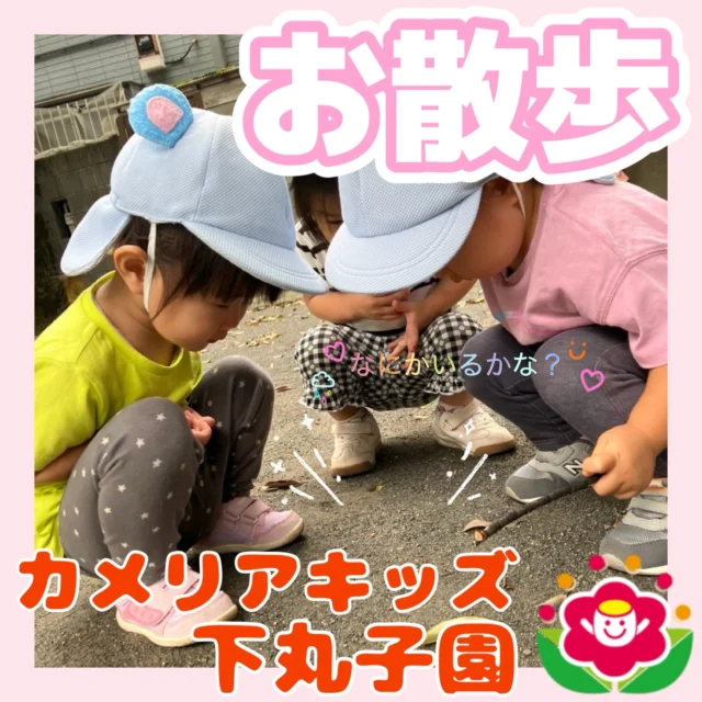 こんにちは😊カメリアキッズ下丸子園です🌺お散歩へ行き、公園では木の実を見つけたりお友だちとおいかけっこをしたりと楽しく過ごしていますよ😊お外は暑いので、しっかりと水分補給もとります！みんなたくさん身体を動かしてお昼寝はぐっすりです！😴♪.:*:'゜☆.:*:'゜♪.:*:'゜☆.:*:・'゜♪.:*:・'゜☆.:*:・'゜♪.:*:随時説明会開催中です！ご連絡お待ちしております！他SNSも要チェック♪HP：カメリアキッズyoutube：🔎カメリアキッズほいくえ：🔎カメリアキッズTikTok：🔎@camellia_kids_hoikuen☆☆☆☆☆☆☆☆☆☆☆☆カメリアキッズ下丸子園〒146-0092住所：東京都大田区下丸子3-13-19ラ・カーサプリマベーラ1Ｆ☎️電話番号：03-6459-8787園児・保育士さん・調理さん◎◎◎募集中◎◎◎☆☆☆☆☆☆☆☆☆☆☆☆#カメリアキッズ#東京都保育園#大田区保育園#下丸子保育園#認可外保育園保活