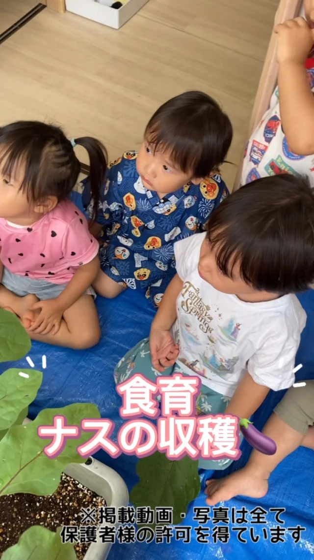 こんにちは♪カメリアキッズ経堂2号園です😊今回は園で育てた茄子か大きくなったので収穫して、調理さんに切ってもらいお野菜スタンプをして楽しみました😊🍆野菜の感触も楽しみながら、自分たちの腕にまで絵の具を付けながら全身で野菜スタンプをしていた子どもたちです🎶🥕🧅🥦🫑************************随時説明会開催中です！ご連絡お待ちしております！他SNSも要チェック♪HP：カメリアキッズyoutube：🔎カメリアキッズほいくえ：🔎カメリアキッズTikTok：🔎@camellia_kids_hoikuen☆☆☆☆☆☆☆☆☆☆☆☆カメリアキッズ経堂2号園〒156-0051東京都世田谷区宮坂2-18-3 キャッスル経堂1階☎️03-5799-6185園児・保育士さん・調理さん◎◎◎募集中◎◎◎☆☆☆☆☆☆☆☆☆☆☆☆#カメリアキッズ#東京都#世田谷区保育園#認可外保育園#保活