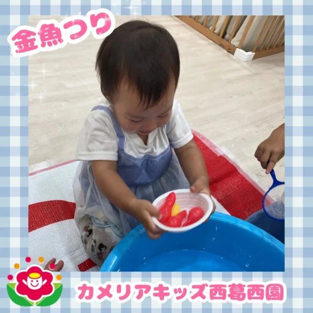 こんにちは🌈カメリアキッズ西葛西園✨今日はお部屋の中で金魚つりをしました🎣🌼🌼🌼🌼🌼🌼🌼🌼🌼🌼随時説明会開催中です！ご連絡お待ちしております！他SNSも要チェック♪HP：カメリアキッズyoutube：🔎カメリアキッズほいくえ：🔎カメリアキッズTikTok：🔎@camellia_kids_hoikuen☆☆☆☆☆☆☆☆☆☆☆☆カメリアキッズ西葛西園〒134-0088住所:東京都江戸川区西葛西6-8-4 ニュースカイビル1F☎️電話番号:03-5878-1877園児・保育士さん・調理さん◎◎◎募集中◎◎◎☆☆☆☆☆☆☆☆☆☆☆☆#カメリアキッズ#東京都#江戸川区保育園#認可外保育園#保活