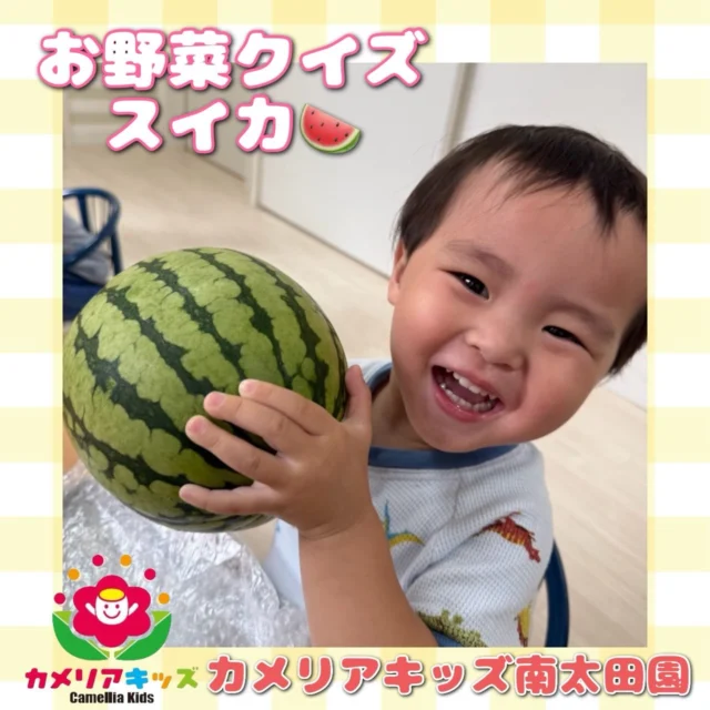 こんにちは😌カメリアキッズ南太田園です👶🏻この日の給食ではスイカが出ました🍉おもーい！と言いながらもヒョイと持ち上げてて感心しました😳。・:*:・゜★,。・:*:・゜☆。・:*:・゜★,。・:*:・゜☆⁡  随時説明会開催中です✨ ご連絡お待ちしております🌈 ⁡ 他SNSも要チェック♪ HP：カメリアキッズ youtube：🔎カメリアキッズ ほいくえ：🔎カメリアキッズ TikTok：🔎@camellia_kids_hoikuen ⁡ ☆☆☆☆☆☆☆☆☆☆☆☆  🚩カメリアキッズ 南太田園🚩 〒232-0006 神奈川県横浜市南区南太田１丁目34-7 ☎️045-334-7497  園児・保育士さん・調理さん **◎◎◎募集中**◎◎◎* ⁡ #カメリアキッズ#神奈川県#横浜市保育園#認可外保育園#保活