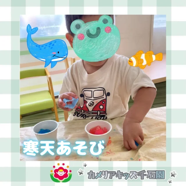 こんにちは😊カメリアキッズ千石園です✨先日は寒天あそびをしました！冷たくてプルプルした感触に皆興味津々😆色を混ぜたり、カップに入れてみたりいろいろな方法で遊びました🌟⋈ ･････････････････････････ ⋈説明会開催中です✰ご連絡お待ちしております！⁡他SNSも要チェック↓Instagram：@itg_camellia_kidsTwitter：camellia_kidsyoutube：🔎カメリアキッズほいくえ：🔎カメリアキッズ𖡼.𖤣𖥧𖡼.𖤣𖥧𖡼.𖤣𖥧𖡼.𖤣𖥧𖡼.𖤣𖥧𖡼.𖤣𖥧𖡼.𖤣𖥧𖡼.𖤣𖥧𖡼.𖤣𖥧カメリアキッズ千石園📮135-0015🏠東京都江東区千石3-1-31☎️03-6666-8771𖡼.𖤣𖥧𖡼.𖤣𖥧𖡼.𖤣𖥧𖡼.𖤣𖥧𖡼.𖤣𖥧𖡼.𖤣𖥧𖡼.𖤣𖥧𖡼.𖤣𖥧𖡼.𖤣𖥧#カメリアキッズ#東京都#江東区保育園#認可外保育園#保活2歳児 働くママ 幼児食 1歳児 0歳児 保育 江東区 保育士の卵 企業主導型保育園 保育学生 小規模保育園 園児募集 保育士試験 保育士募集 認可外保育園 保育学生 千石 保育園探し 保育士求人 カメリアキッズ 東京都保育園 江東区保育園 千石保育園