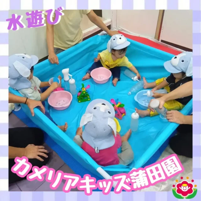 こんにちは!カメリアキッズ蒲田園です✨️本日は水遊びの様子をご紹介♪暑い日でも室内で水遊びをして涼しく過ごせます🎐スコップやカップを使って水をすくったり、容器に水を入れて水鉄砲のように押し出したりと子どもたちも大はしゃぎです✨随時説明会開催中ですご連絡お待ちしております!他のSNSも要チェック☑️HP：🔍️カメリアキッズYouTube：🔍️カメリアキッズほいくえ：🔍️カメリアキッズTikTok：🔍️　@ camellia_kids_hoikuen。°✧·*︵︵︵︵︵︵︵︵︵︵︵︵︵︵︵︵*·✧°。カメリアキッズ蒲田園〒144-0051東京都大田区西蒲田7-50-5　クレメンシア1F📞03-6811-4040園児・保育士・調理さん◎◎◎募集中◎◎◎。°✧·*︶︶︶︶︶︶︶︶︶︶︶︶︶︶︶︶*·✧°。 #カメリアキッズ #東京都 #大田区保育園 #認可外保育園 #保活