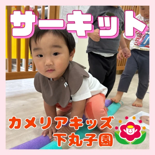 こんにちは😊カメリアキッズ下丸子園です🌺本日、講師によるサーキットが行われました。毎月、違うコースに子ども達はドキドキ！動物になりきり、色んなコースを進みます！おっとっと～！とバランスをとりながらみんな上手に進んでいましたよ！たーくさん身体を動かした日はみんなお昼寝はぐっすりです😊♪.:*:'゜☆.:*:'゜♪.:*:'゜☆.:*:・'゜♪.:*:・'゜☆.:*:・'゜♪.:*:随時説明会開催中です！ご連絡お待ちしております！他SNSも要チェック♪HP：カメリアキッズyoutube：🔎カメリアキッズほいくえ：🔎カメリアキッズTikTok：🔎@camellia_kids_hoikuen☆☆☆☆☆☆☆☆☆☆☆☆カメリアキッズ下丸子園〒146-0092住所：東京都大田区下丸子3-13-19ラ・カーサプリマベーラ1Ｆ☎️電話番号：03-6459-8787園児・保育士さん・調理さん◎◎◎募集中◎◎◎☆☆☆☆☆☆☆☆☆☆☆☆#カメリアキッズ#東京都保育園#大田区保育園#下丸子保育園#認可外保育園保活