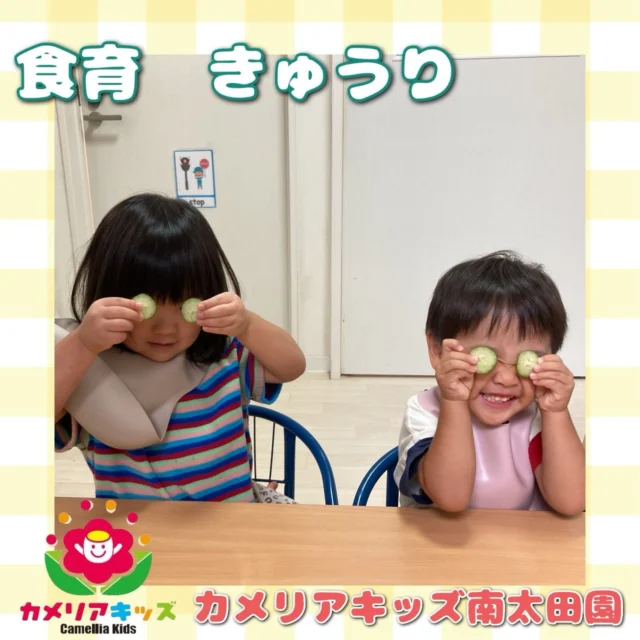 こんにちは😌カメリアキッズ南太田園です👶🏻食育できゅうりを行いました！まるーく切ったきゅうりでめがねーをしてて可愛かったです😌。・:*:・゜★,。・:*:・゜☆。・:*:・゜★,。・:*:・゜☆⁡  随時説明会開催中です✨ ご連絡お待ちしております🌈 ⁡ 他SNSも要チェック♪ HP：カメリアキッズ youtube：🔎カメリアキッズ ほいくえ：🔎カメリアキッズ TikTok：🔎@camellia_kids_hoikuen ⁡ ☆☆☆☆☆☆☆☆☆☆☆☆  🚩カメリアキッズ 南太田園🚩 〒232-0006 神奈川県横浜市南区南太田１丁目34-7 ☎️045-334-7497  園児・保育士さん・調理さん **◎◎◎募集中**◎◎◎* ⁡ #カメリアキッズ#神奈川県#横浜市保育園#認可外保育園#保活