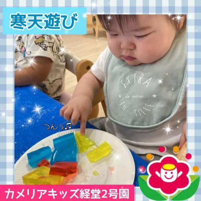 こんにちは♪カメリアキッズ経堂2号園です😊今回は寒天遊びの様子をお届けします✨️今年度初めて寒天遊びをしたので、初めて触る子がたくさんいて躊躇せず楽しむ子や、何かわからず「つんっ」とするのにも慎重な子がいたりとさまざまでした☺️触るのを慎重になっていた子も慣れてくると、大胆に握り潰してみたり楽しんで遊んでいました💞************************随時説明会開催中です！ご連絡お待ちしております！他SNSも要チェック♪HP：カメリアキッズyoutube：🔎カメリアキッズほいくえ：🔎カメリアキッズTikTok：🔎@camellia_kids_hoikuen☆☆☆☆☆☆☆☆☆☆☆☆カメリアキッズ経堂2号園〒156-0051東京都世田谷区宮坂2-18-3 キャッスル経堂1階☎️03-5799-6185園児・保育士さん・調理さん◎◎◎募集中◎◎◎☆☆☆☆☆☆☆☆☆☆☆☆#カメリアキッズ#東京都#世田谷区保育園#認可外保育園#保活