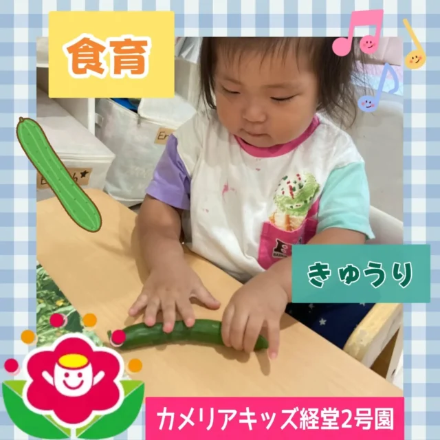 こんにちは♪カメリアキッズ経堂2号園です😊今回の食育は「きゅうり」についてでした🥒長いそのままのきゅうりをみんなで触ってみると、少しトゲトゲしているのに気付いていたり、調理さんに輪切りにしてもらうと、そのままとは違う感触を楽しんでいました😳✨************************随時説明会開催中です！ご連絡お待ちしております！他SNSも要チェック♪HP：カメリアキッズyoutube：🔎カメリアキッズほいくえ：🔎カメリアキッズTikTok：🔎@camellia_kids_hoikuen☆☆☆☆☆☆☆☆☆☆☆☆カメリアキッズ経堂2号園〒156-0051東京都世田谷区宮坂2-18-3 キャッスル経堂1階☎️03-5799-6185園児・保育士さん・調理さん◎◎◎募集中◎◎◎☆☆☆☆☆☆☆☆☆☆☆☆#カメリアキッズ#東京都#世田谷区保育園#認可外保育園#保活