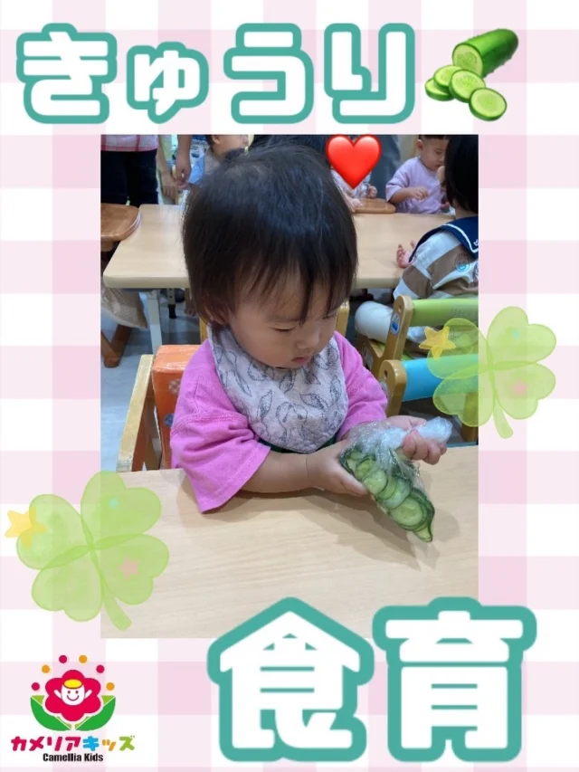 こんにちは😃8月の食育はきゅうり🥒でした！みんなでカットきゅうりにお塩を入れてプチクッキングもしました🍳随時説明会開催中です！ご連絡お待ちしております！他SNSも要チェック♪HP：カメリアキッズyoutube：🔎カメリアキッズほいくえ：🔎カメリアキッズTikTok：🔎@camellia_kids_hoikuen☆☆☆☆☆☆☆☆☆☆☆☆カメリアキッズ蒲田2号園〒144-0051東京都大田区西蒲田8-7-1ブランドール2F☎️03-6715-8965園児・保育士さん・調理さん◎◎◎募集中◎◎◎☆☆☆☆☆☆☆☆☆☆☆☆#認可外保育園#保活#カメリアキッズ#東京都#大田区保育園