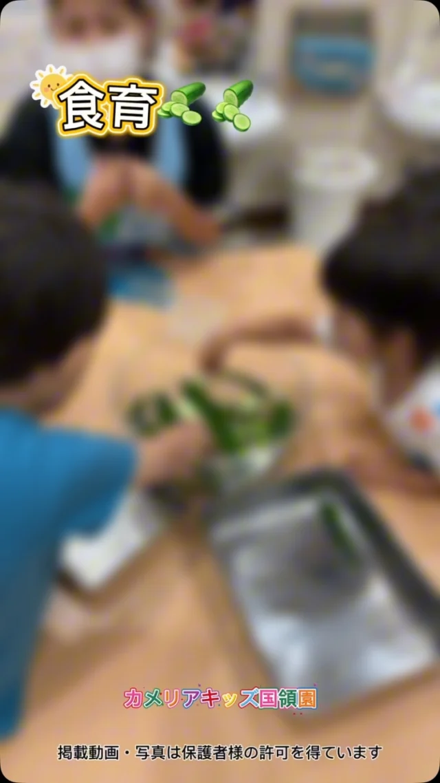 こんにちは！カメリアキッズ国領園です🐥今回は食育での様子をお届けします🥒きゅうりのいろいろな謎を、見て触って知ることができました🌟⁡☆☆☆☆☆☆☆☆☆☆☆☆カメリアキッズ国領園〒184-0022調布市国領町4-21-12 フェリーチェ国領1階☎️042-444-6199園児・保育士さん・調理さん◎◎◎募集中◎◎◎☆☆☆☆☆☆☆☆☆☆☆☆#カメリアキッズ#東京都#調布市保育園#認可外保育園　#保活