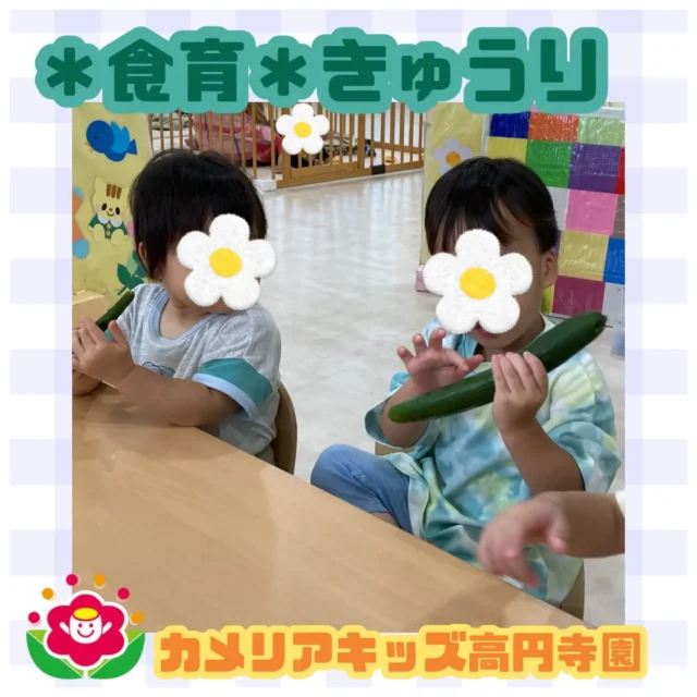 こんにちは！カメリアキッズ高円寺園です☺先日は食育できゅうりを観察しました！表面のブツブツした所を何度も触ってみたり、カットした断面を見たり...みんな真剣なお顔で見ていましたよ😆☆☆☆☆☆☆☆☆☆☆☆☆カメリアキッズ高円寺園〒166-0003住所 東京都杉並区高円寺南3-62-6高円寺ゲーテビル1階☎️電話番号03-6454-6064園児・保育士さん◎◎◎募集中◎◎◎☆☆☆☆☆☆☆☆☆☆☆☆☆#カメリアキッズ#東京都#杉並区保育園#認可外保育園#保活