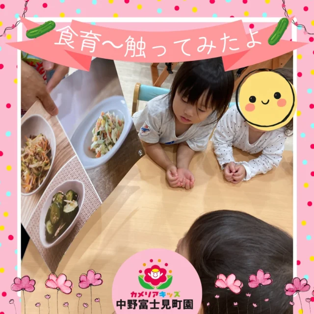 こんにちは！カメリアキッズ中野富士見町園です✨食材に触る機会を子どもたちはとても楽しみにしています。今回のテーマはきゅうり🥒大きなbigきゅうり🥒と小さなbabyきゅうり🥒『わ！おおきいね！』『ちいさ～い、かわいいね』手触りと匂いなどを感じた後は、もみもみしたよ🥒『ん？おみずがでるの？』『なんか、ふにゃふにゃになった？』大人の当たり前が、子どもたちにとっては新たな経験へと繋がります🥒🌈随時説明会開催中です！ご連絡お待ちしております🌈他SNSも要チェック♪HP：カメリアキッズyoutube：🔎カメリアキッズほいくえ：🔎カメリアキッズ☆☆☆☆☆☆☆☆☆☆☆☆カメリアキッズ中野富士見町園〒166-0012東京都杉並区和田1-17-6小松本店ビル1F☎️03-6304-8535