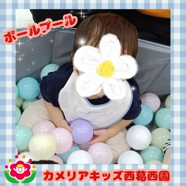 こんにちは🌈カメリアキッズ西葛西園✨ボールプールをして遊びました🍀小さなお友だちはボールを手に持って不思議そう見つめていました💕🌼🌼🌼🌼🌼🌼🌼🌼🌼🌼随時説明会開催中です！ご連絡お待ちしております！他SNSも要チェック♪HP：カメリアキッズyoutube：🔎カメリアキッズほいくえ：🔎カメリアキッズTikTok：🔎@camellia_kids_hoikuen☆☆☆☆☆☆☆☆☆☆☆☆カメリアキッズ西葛西園〒134-0088住所:東京都江戸川区西葛西6-8-4 ニュースカイビル1F☎️電話番号:03-5878-1877園児・保育士さん・調理さん◎◎◎募集中◎◎◎☆☆☆☆☆☆☆☆☆☆☆☆#カメリアキッズ#東京都#江戸川区保育園#認可外保育園#保活