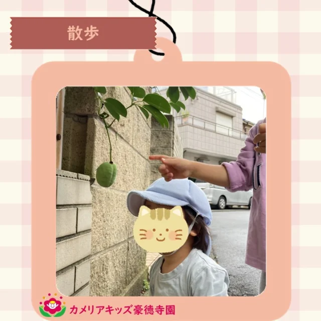 こんにちは😊カメリアキッズ豪徳寺園です✨ 散歩に行きました🚶不思議な実や葉っぱを発見🍈😮.☆☆☆☆☆☆☆☆☆☆☆☆☆他SNSも要チェック♪ Instagram：itg_camellia_kidsyoutube：カメリアキッズほいくえ：カメリアキッズ園児・保育士さん・調理さん☆募集中☆☆☆☆☆☆☆☆☆☆☆☆☆カメリアキッズ豪徳寺園〒154-0021東京都世田谷区豪徳寺1-21-5ヴィラ・ゴートク1F-D03-5799-7790 ☆☆☆☆☆☆☆☆☆☆☆☆☆#カメリアキッズ#東京都#世田谷区保育園#認可外保育園#保活
