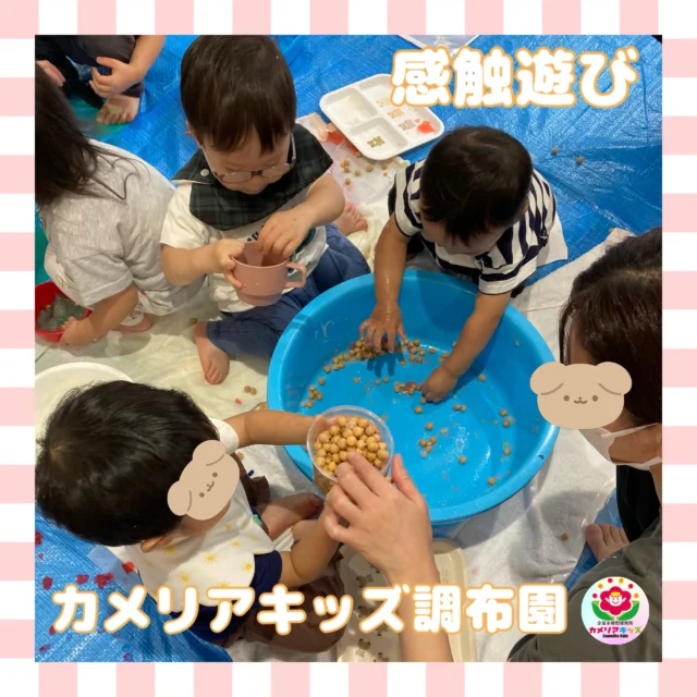 こんにちは、カメリアキッズ調布園です🎶ゼラチンや春雨に色をつけて感触遊びをしました✨ひよこ豆の煮汁を泡立てるとクリームみたいになりました🤗はじめての英語も、いつもの場所で安心♪カメリアキッズでは、親子で楽しく参加できる英会話教室を開講します✨️――――――――――――――――———————————他SNSも要チェック♪HP ： カメリアキッズyoutube:Oカメリアキッズほいくえ：●カメリアキッズTikTok: @camellia_kids_hoikuen★★★★★★★★★★★★カメリアキッズ調布園〒184-0026調布市小島町1-5-6アールアンドエスビル1階重042-452-8705園児・保育士さん・調理さん◎O◎募集中◎◎◎#カメリアキッズ#東京都#調布市保育園#認可外保育園#保活