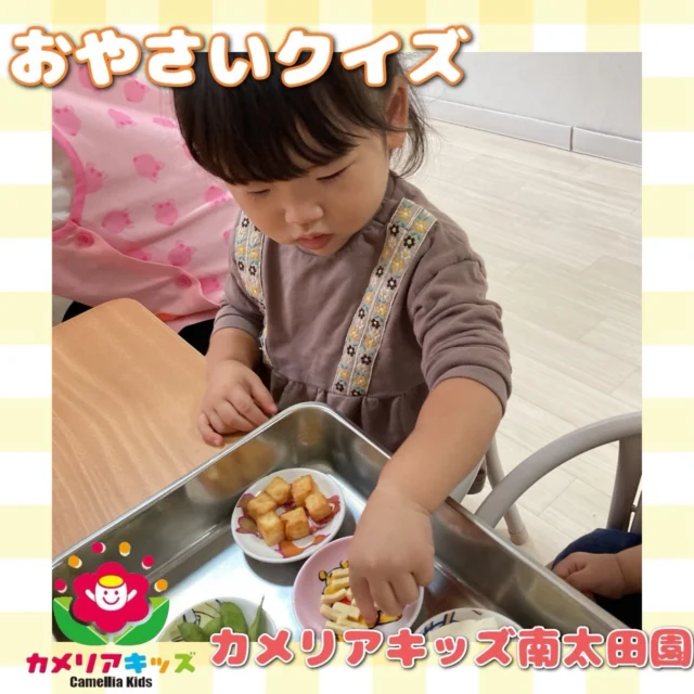 こんにちは😌カメリアキッズ南太田園です👶🏻お野菜クイズ🥰今日はどうな食材がでてくるのかな？。・:*:・゜★,。・:*:・゜☆。・:*:・゜★,。・:*:・゜☆⁡  随時説明会開催中です✨ ご連絡お待ちしております🌈 ⁡ 他SNSも要チェック♪ HP：カメリアキッズ youtube：🔎カメリアキッズ ほいくえ：🔎カメリアキッズ TikTok：🔎@camellia_kids_hoikuen ⁡ ☆☆☆☆☆☆☆☆☆☆☆☆  🚩カメリアキッズ 南太田園🚩 〒232-0006 神奈川県横浜市南区南太田１丁目34-7 ☎️045-334-7497  園児・保育士さん・調理さん **◎◎◎募集中**◎◎◎* ⁡ #カメリアキッズ#神奈川県#横浜市保育園#認可外保育園#保活