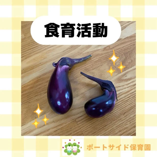 こんにちは！たいせつ横浜ポートサイド保育園です🚢みんなで作ったナス🍆ツヤツヤで綺麗に育ちました✨💭🤍.•*¨*•.*♬ 💭🤍.•*¨*•.*♬💭 🤍.•*¨*•.*♬説明会開催中です✨ご連絡お待ちしております🌈⁡🍀✨🍀✨🍀✨🍀✨🍀✨🍀✨🍀✨たいせつ横浜ポートサイド保育園📮221－0052🏠神奈川県横浜市神奈川区栄町6－1ヨコハマポートサイドロア弐番館1F☎️ 045-461-0707🍀✨🍀✨🍀✨🍀✨🍀✨🍀✨🍀✨#ママライフ#ママリ#保育園#子育てママ#保育士