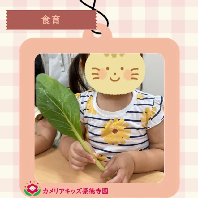 こんにちは、カメリアキッズ豪徳寺園です！朝の会、お野菜の切れ端をクイズにしています。クイズになったお野菜たちは、給食に登場します。お昼ご飯が楽しみですね。【世田谷区で保育園をお探しの方へ】カメリアキッズ豪徳寺園では、園見学・入園に関するご相談を受け付けています。豪徳寺駅から徒歩圏内にある保育園です。日々の遊びや季節の行事を通じて、子ども一人ひとりの成長を大切にした保育を行っています。■ 入園・園見学について・見学可能日・対象年齢・入園に関する詳細詳細は、プロフィールのウェブサイトにある入園案内をご確認ください。■ 保育士の採用についてカメリアキッズ豪徳寺園では、保育士を募集しています。職員同士で子どもたちの様子や保育内容を共有し、相談・連携しながら日々の保育に取り組んでいます。・募集職種・雇用形態・給与・休日・応募方法採用に関する詳細は、プロフィールのウェブサイトにある採用ページをご確認ください。【カメリアキッズ豪徳寺園】東京都世田谷区豪徳寺1丁目21-5 ヴィラ・ゴートク 1F