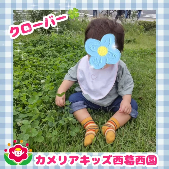 こんにちは🌈カメリアキッズ西葛西園✨️近くの公園にお散歩に行ってきました☺クローバーの上に座ってお手々を動かしてフサフサする感触を楽しんでいました🍀【江戸川区で保育園をお探しの方へ】カメリアキッズ西葛西園では、園見学・入園に関するご相談を受け付けています。西葛西駅から徒歩圏内にある保育園です。日々の遊びや季節の行事を通じて、子ども一人ひとりの成長を大切にした保育を行っています。■入園・園見学について・見学可能日・対象年齢・入園に関する詳細詳細は、プロフィールのウェブサイトにある入園案内をご確認ください。■保育士の採用についてカメリアキッズ西葛西園では、保育士を募集しています。職員同士で子どもたちの様子や保育内容を共有し、相談・連携しながら日々の保育に取り組んでいます。・募集職種・雇用形態・給与・休日・応募方法採用に関する詳細は、プロフィールのウェブサイトにある採用ページをご確認ください。【カメリアキッズ西葛西園】東京都江戸川区西葛西6丁目8-4ニュースカイビル1階
