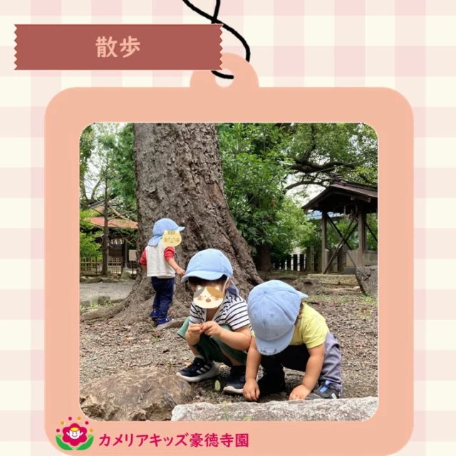 こんにちは、カメリアキッズ豪徳寺園です！世田谷八幡宮へ散歩に行きました。皆で探検して、どんぐり、石、木の葉など沢山発見しました。【世田谷区で保育園をお探しの方へ】カメリアキッズ豪徳寺園では、園見学・入園に関するご相談を受け付けています。豪徳寺駅から徒歩圏内にある保育園です。日々の遊びや季節の行事を通じて、子ども一人ひとりの成長を大切にした保育を行っています。■ 入園・園見学について・見学可能日・対象年齢・入園に関する詳細詳細は、プロフィールのウェブサイトにある入園案内をご確認ください。■ 保育士の採用についてカメリアキッズ豪徳寺園では、保育士を募集しています。職員同士で子どもたちの様子や保育内容を共有し、相談・連携しながら日々の保育に取り組んでいます。・募集職種・雇用形態・給与・休日・応募方法採用に関する詳細は、プロフィールのウェブサイトにある採用ページをご確認ください。【カメリアキッズ豪徳寺園】東京都世田谷区豪徳寺1丁目21-5 ヴィラ・ゴートク 1F