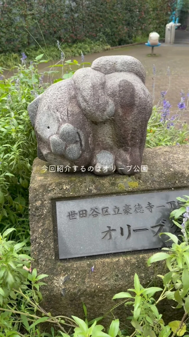 こんにちは、カメリアキッズ豪徳寺園です！近隣公園のひとつ、オリーブ公園。園からいちばん近い小さな公園です。【世田谷区で保育園をお探しの方へ】カメリアキッズ豪徳寺園では、園見学・入園に関するご相談を受け付けています。豪徳寺駅から徒歩圏内にある保育園です。日々の遊びや季節の行事を通じて、子ども一人ひとりの成長を大切にした保育を行っています。■ 入園・園見学について・見学可能日・対象年齢・入園に関する詳細詳細は、プロフィールのウェブサイトにある入園案内をご確認ください。■ 保育士の採用についてカメリアキッズ豪徳寺園では、保育士を募集しています。職員同士で子どもたちの様子や保育内容を共有し、相談・連携しながら日々の保育に取り組んでいます。・募集職種・雇用形態・給与・休日・応募方法採用に関する詳細は、プロフィールのウェブサイトにある採用ページをご確認ください。【カメリアキッズ豪徳寺園】東京都世田谷区豪徳寺1丁目21-5 ヴィラ・ゴートク 1F