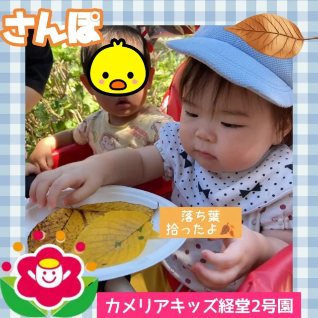 こんにちは！カメリアキッズ経堂2号園です！今回はお散歩に行き、落ち葉やどんぐりを拾って遊んだときの様子をお届けします。紙皿やコップを渡してあげると、自分たちでどんぐりを拾い大満足そうな子どもたちでした！【世田谷区で保育園をお探しの方へ】カメリアキッズ経堂2号園では、園見学・入園に関するご相談を受け付けています。経堂駅から徒歩圏内にある保育園です。日々の遊びや季節の行事を通じて、子ども一人ひとりの成長を大切にした保育を行っています。■ 入園・園見学について・見学可能日・対象年齢・入園に関する詳細詳細は、プロフィールのウェブサイトにある入園案内をご確認ください。■ 保育士の採用についてカメリアキッズ経堂2号園では、保育士を募集しています。職員同士で子どもたちの様子や保育内容を共有し、相談・連携しながら日々の保育に取り組んでいます。・募集職種・雇用形態・給与・休日・応募方法採用に関する詳細は、プロフィールのウェブサイトにある採用ページをご確認ください。【カメリアキッズ経堂2号園】東京都世田谷区宮坂2丁目18-3 キャッスル経堂 1F"