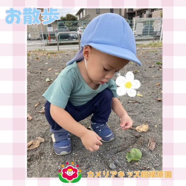 こんにちは。カメリアキッズ相模原園です。お散歩の様子をお届けします!!砂場遊びを楽しみました。【相模原市で保育園をお探しの方へ】カンプをしたり、元気いっぱい身体を動かしました！カメリアキッズ相模原園では、園見学・入園に関するご相談を受け付けています。相模原駅から徒歩圏内にある保育園です。日々の遊びや季節の行事を通じて、子ども一人ひとりの成長を大切にした保育を行っています。■ 入園・園見学について・見学可能日・対象年齢・入園に関する詳細詳細は、プロフィールのウェブサイトにある入園案内をご確認ください。■ 保育士の採用についてカメリアキッズ相模原園では、保育士を募集しています。職員同士で子どもたちの様子や保育内容を共有し、相談・連携しながら日々の保育に取り組んでいます。・募集職種・雇用形態・給与・休日・応募方法採用に関する詳細は、プロフィールのウェブサイトにある採用ページをご確認ください。【カメリアキッズ相模原園】神奈川県相模原市中央区相模原3-1-13グランシャリオ相模原2階