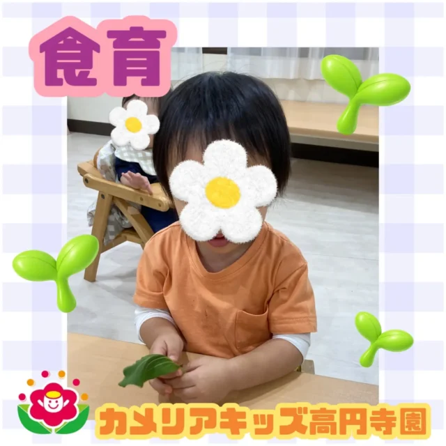 こんにちは。カメリアキッズ高円寺園です。今日は、食育で野菜の観察をしました。給食で出る野菜を手に持ち、形や色をたくさん確認していましたよ。【杉並区で保育園をお探しの方へ】カメリアキッズ高円寺園では、園見学・入園に関するご相談を受け付けています。高円寺駅から徒歩圏内にある保育園です。日々の遊びや季節の行事を通じて、子ども一人ひとりの成長を大切にした保育を行っています。■入園・園見学について・対象年齢　 0〜2歳詳細は、プロフィールのウェブサイトにある入園案内をご確認ください。■保育士の採用についてカメリアキッズ高円寺園では、保育士を募集しています。職員同士で子どもたちの様子や保育内容を共有し、相談・連携しながら日々の保育に取り組んでいます。採用に関する詳細は、プロフィールのウェブサイトにある採用ページをご確認ください。【カメリアキッズ高円寺園】東京都杉並区高円寺南3丁目62-6 高円寺ゲーテビル IF