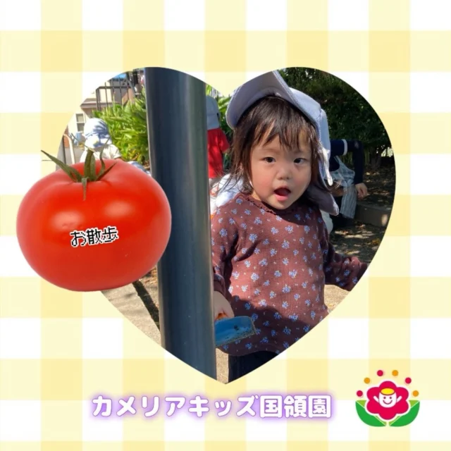 こんにちは！カメリアキッズ国領園です。最近は涼しくなってきてたくさんお散歩に行けるようになり、みんな全力ではしゃいでいます！最近ではお友達同士で遊ぶことが増え、お砂場でお団子やアイスクリーム屋さんごっこなどをして楽しく遊んでいます。カメリアキッズ国領園調布市国領町4-21-12 フェリーチェ国領1階カメリアキッズ国領園では、園見学・入学に関するご相談を受け付けています。国領駅から徒歩圏内にある保育園です。日々の遊びや季節の行事を通して、子ども一人ひとりの成長を大切にした保育を行っています。◼️入園・園見学について・見学可能日・対象年齢・入園に関する詳細詳細は、プロフィールのウェブサイトにある入園案内をご確認ください。◼️保育士の採用についてカメリアキッズ国領園では、保育士を募集しています。職員同士で子どもたちの様子や保育内容を共有し、相談・連携しながら日々の保育に取り組んでいます。・募集職種・雇用形態・給与・休日・応募方法