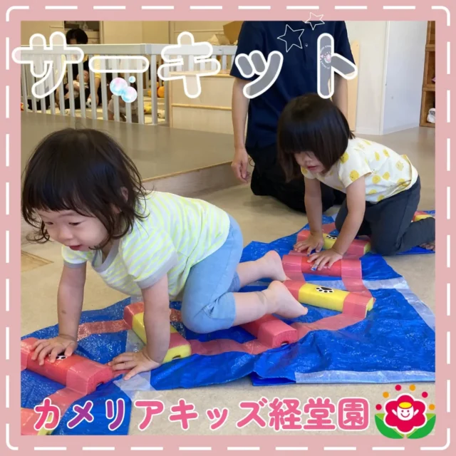 こんにちはカメリアキッズ経堂園です！今月のサーキットです。普段からお散歩から帰ってきても元気いっぱいな皆はサーキットでもジャンプしたり、しゃがんだり全身を使った運動も何回も周回します！順番を守りながらと体を動かす以外の成長の姿を見ることができました。＊【世田谷区で保育園をお探しの方へ】カメリアキッズ経堂園では、園見学・入園に関するご相談を受け付けています。経堂駅から徒歩圏内にある保育園です。日々の遊びや季節の行事を通じて、子ども一人ひとりの成長を大切にした保育を行っています。■ 入園・園見学について・見学可能日・対象年齢・入園に関する詳細詳細は、プロフィールのウェブサイトにある入園案内をご確認ください。■ 保育士の採用についてカメリアキッズ経堂園では、保育士を募集しています。職員同士で子どもたちの様子や保育内容を共有し、相談・連携しながら日々の保育に取り組んでいます。・募集職種・雇用形態・給与・休日・応募方法採用に関する詳細は、プロフィールのウェブサイトにある採用ページをご確認ください。【カメリアキッズ経堂園】東京都世田谷区経堂1丁目19-14 第六経堂ビル 2F