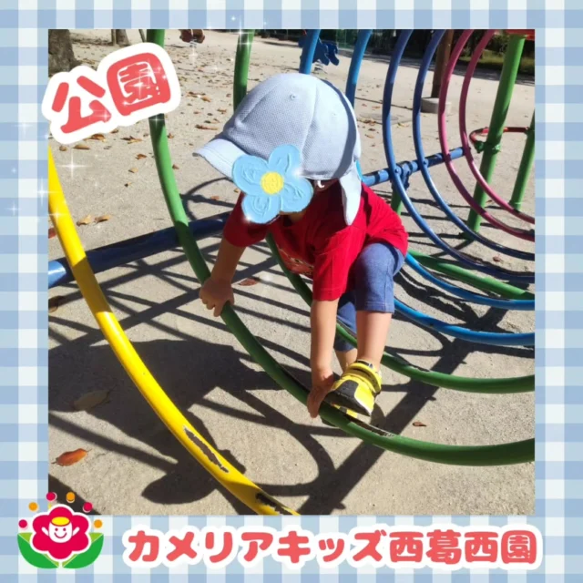 こんにちは🌈カメリアキッズ西葛西園✨️今日はぽかぽか陽気だったので大きな公園に遊びに行ってきました☺【江戸川区で保育園をお探しの方へ】カメリアキッズ西葛西園では、園見学・入園に関するご相談を受け付けています。西葛西駅から徒歩圏内にある保育園です。日々の遊びや季節の行事を通じて、子ども一人ひとりの成長を大切にした保育を行っています。■入園・園見学について・見学可能日・対象年齢・入園に関する詳細詳細は、プロフィールのウェブサイトにある入園案内をご確認ください。■保育士の採用についてカメリアキッズ西葛西園では、保育士を募集しています。職員同士で子どもたちの様子や保育内容を共有し、相談・連携しながら日々の保育に取り組んでいます。・募集職種・雇用形態・給与・休日・応募方法採用に関する詳細は、プロフィールのウェブサイトにある採用ページをご確認ください。【カメリアキッズ西葛西園】東京都江戸川区西葛西6丁目8-4ニュースカイビル1階