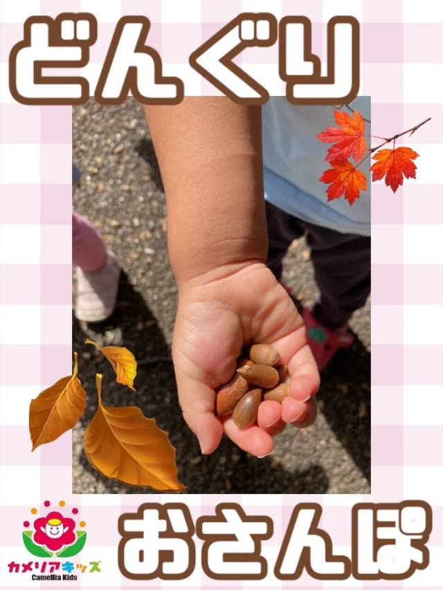 こんにちは🍂お散歩ではどんぐりを拾いに行ったり落ち葉を集めたりすっかり秋っぽくなりました☺️【大田区で保育園をお探しの方へ】カメリアキッズ蒲田2号園では、園見学・入園に関するご相談を受け付けています。JR蒲田駅から徒歩圏内にある保育園です。日々の遊びや季節の行事を通じて、子ども一人ひとりの成長を大切にした保育を行っています。 ■ 入園・園見学について・見学可能日・対象年齢・入園に関する詳細 詳細は、プロフィールのウェブサイトにある入園案内をご確認ください。 ■ 保育士の採用についてカメリアキッズ蒲田2号園では、保育士を募集しています。職員同士で子どもたちの様子や保育内容を共有し、相談・連携しながら日々の保育に取り組んでいます。 ・募集職種・雇用形態・給与・休日・応募方法 採用に関する詳細は、プロフィールのウェブサイトにある採用ページをご確認ください。 【カメリアキッズ蒲田2号園】東京都大田区西蒲田8-7-1ブランドール2F#認可外保育園#保活#カメリアキッズ#東京都#大田区保育園